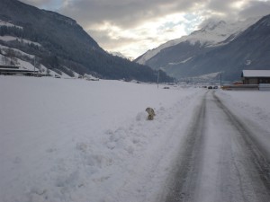 Strada innevata