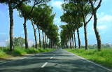 Immagine di una strada per le vacanze
