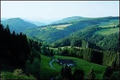 Strada delgi Orologi (1)