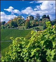 Strada del Vino